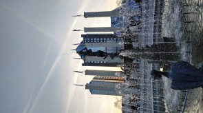 IMG_20190221_174604.jpg